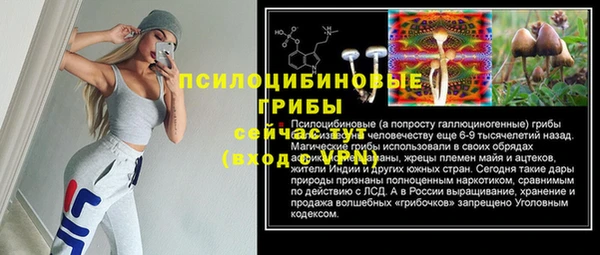 спайс Абаза